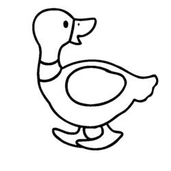 Malvorlage: Ente (Tiere) #1447 - Kostenlose Malvorlagen zum Ausdrucken
