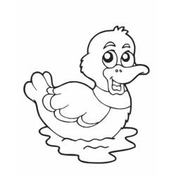 Malvorlage: Ente (Tiere) #1454 - Kostenlose Malvorlagen zum Ausdrucken