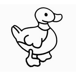 Malvorlage: Ente (Tiere) #1464 - Kostenlose Malvorlagen zum Ausdrucken