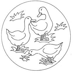 Malvorlage: Ente (Tiere) #1469 - Kostenlose Malvorlagen zum Ausdrucken
