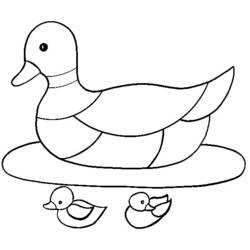 Malvorlage: Ente (Tiere) #1477 - Kostenlose Malvorlagen zum Ausdrucken
