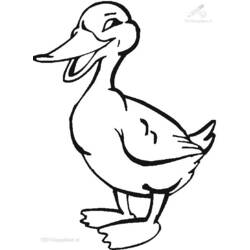 Malvorlage: Ente (Tiere) #1481 - Kostenlose Malvorlagen zum Ausdrucken