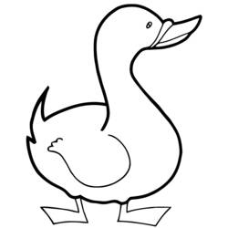 Malvorlage: Ente (Tiere) #1484 - Kostenlose Malvorlagen zum Ausdrucken