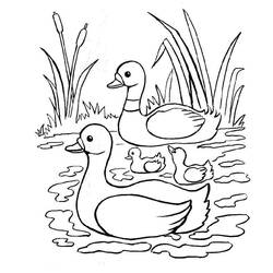 Malvorlage: Ente (Tiere) #1487 - Kostenlose Malvorlagen zum Ausdrucken