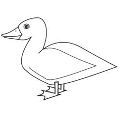 Malvorlage: Ente (Tiere) #1492 - Kostenlose Malvorlagen zum Ausdrucken