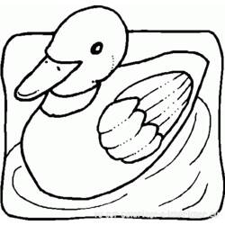 Malvorlage: Ente (Tiere) #1508 - Kostenlose Malvorlagen zum Ausdrucken