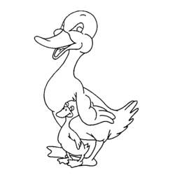 Malvorlage: Ente (Tiere) #1510 - Kostenlose Malvorlagen zum Ausdrucken