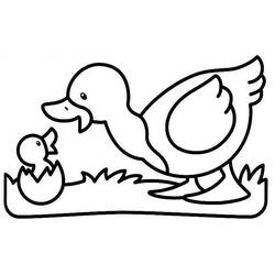 Malvorlage: Ente (Tiere) #1516 - Kostenlose Malvorlagen zum Ausdrucken