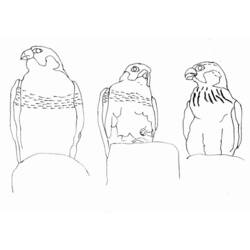 Malvorlage: Falke (Tiere) #6852 - Kostenlose Malvorlagen zum Ausdrucken