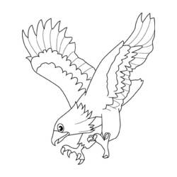 Malvorlage: Falke (Tiere) #6855 - Kostenlose Malvorlagen zum Ausdrucken