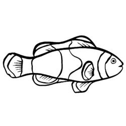 Malvorlage: Fisch (Tiere) #17021 - Kostenlose Malvorlagen zum Ausdrucken