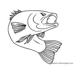 Malvorlage: Fisch (Tiere) #17040 - Kostenlose Malvorlagen zum Ausdrucken