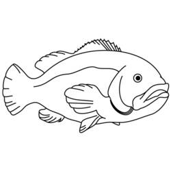 Malvorlage: Fisch (Tiere) #17124 - Kostenlose Malvorlagen zum Ausdrucken