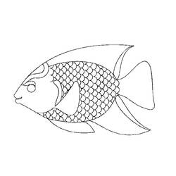 Malvorlage: Fisch (Tiere) #17153 - Kostenlose Malvorlagen zum Ausdrucken