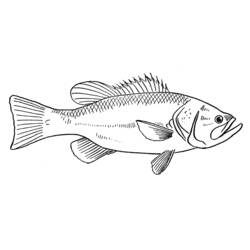 Malvorlage: Fisch (Tiere) #17170 - Kostenlose Malvorlagen zum Ausdrucken