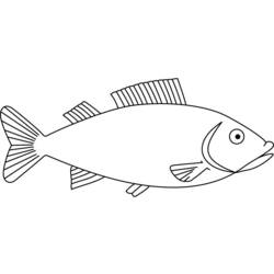 Zeichnungen zum Ausmalen: Fisch - Druckbare Malvorlagen