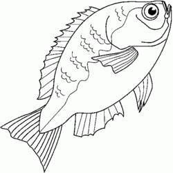 Malvorlage: Fisch (Tiere) #17217 - Kostenlose Malvorlagen zum Ausdrucken