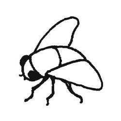 Malvorlage: Fliege (Tiere) #11124 - Kostenlose Malvorlagen zum Ausdrucken