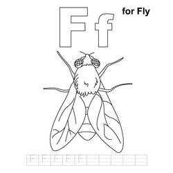 Malvorlage: Fliege (Tiere) #11129 - Kostenlose Malvorlagen zum Ausdrucken