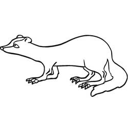 Malvorlage: Frettchen (Tiere) #205398 - Kostenlose Malvorlagen zum Ausdrucken