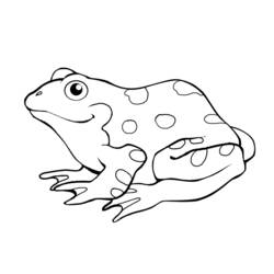 Zeichnungen zum Ausmalen: Frosch - Druckbare Malvorlagen