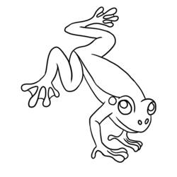 Malvorlage: Frosch (Tiere) #7635 - Kostenlose Malvorlagen zum Ausdrucken