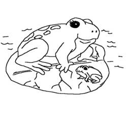 Malvorlage: Frosch (Tiere) #7715 - Kostenlose Malvorlagen zum Ausdrucken