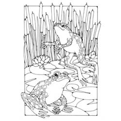 Malvorlage: Frosch (Tiere) #7716 - Kostenlose Malvorlagen zum Ausdrucken