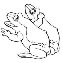 Malvorlage: Frosch (Tiere) #7717 - Kostenlose Malvorlagen zum Ausdrucken