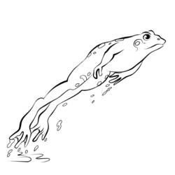 Malvorlage: Frosch (Tiere) #7718 - Kostenlose Malvorlagen zum Ausdrucken