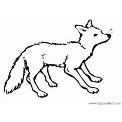 Malvorlage: Fuchs (Tiere) #14963 - Kostenlose Malvorlagen zum Ausdrucken