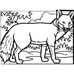 Malvorlage: Fuchs (Tiere) #14977 - Kostenlose Malvorlagen zum Ausdrucken