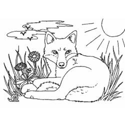 Malvorlage: Fuchs (Tiere) #15009 - Kostenlose Malvorlagen zum Ausdrucken