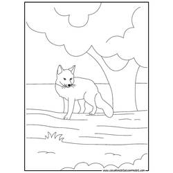 Malvorlage: Fuchs (Tiere) #15021 - Kostenlose Malvorlagen zum Ausdrucken