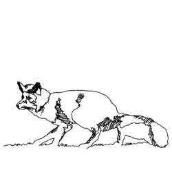Malvorlage: Fuchs (Tiere) #15051 - Kostenlose Malvorlagen zum Ausdrucken