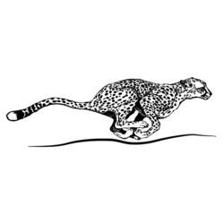 Malvorlage: Gepard (Tiere) #7879 - Kostenlose Malvorlagen zum Ausdrucken