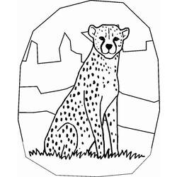 Malvorlage: Gepard (Tiere) #7882 - Kostenlose Malvorlagen zum Ausdrucken