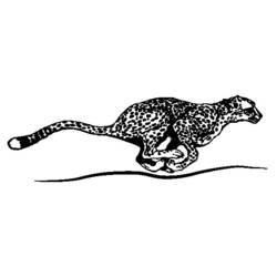 Malvorlage: Gepard (Tiere) #7890 - Kostenlose Malvorlagen zum Ausdrucken