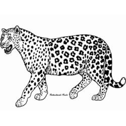 Zeichnungen zum Ausmalen: Gepard - Druckbare Malvorlagen