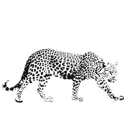 Malvorlage: Gepard (Tiere) #7901 - Kostenlose Malvorlagen zum Ausdrucken