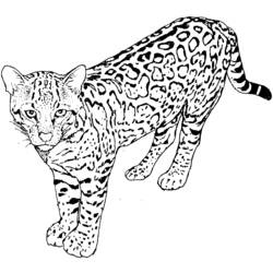 Malvorlage: Gepard (Tiere) #7932 - Kostenlose Malvorlagen zum Ausdrucken