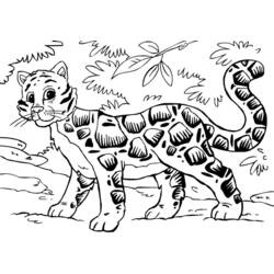 Malvorlage: Gepard (Tiere) #7970 - Kostenlose Malvorlagen zum Ausdrucken