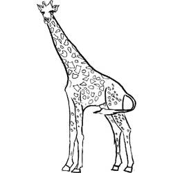 Malvorlage: Giraffe (Tiere) #7219 - Kostenlose Malvorlagen zum Ausdrucken