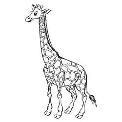 Malvorlage: Giraffe (Tiere) #7226 - Kostenlose Malvorlagen zum Ausdrucken