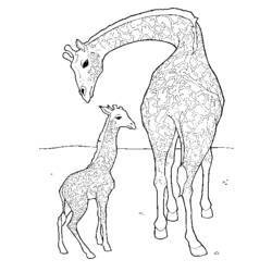 Malvorlage: Giraffe (Tiere) #7238 - Kostenlose Malvorlagen zum Ausdrucken