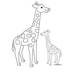 Malvorlage: Giraffe (Tiere) #7259 - Kostenlose Malvorlagen zum Ausdrucken