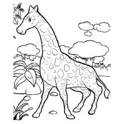 Malvorlage: Giraffe (Tiere) #7262 - Kostenlose Malvorlagen zum Ausdrucken