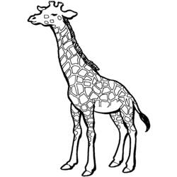 Malvorlage: Giraffe (Tiere) #7291 - Kostenlose Malvorlagen zum Ausdrucken