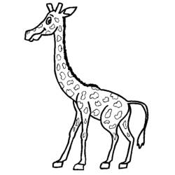 Malvorlage: Giraffe (Tiere) #7294 - Kostenlose Malvorlagen zum Ausdrucken