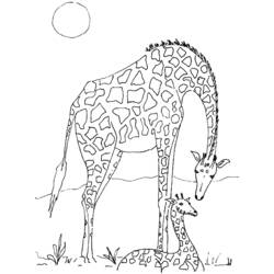 Malvorlage: Giraffe (Tiere) #7302 - Kostenlose Malvorlagen zum Ausdrucken